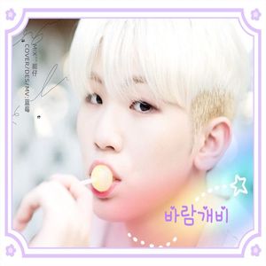 바람개비（风车）