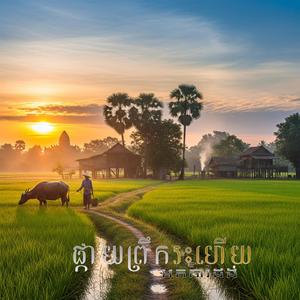 ផ្កាយព្រឹករះហើយ