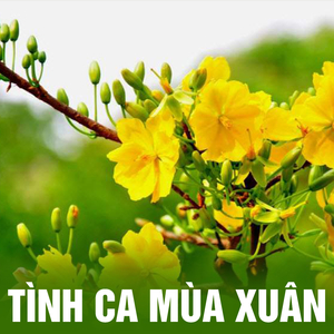 Trị an âm vang mùa xuân