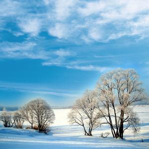 生活没有说明书(热搜)