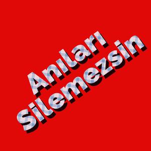 Anıları Silemezsin