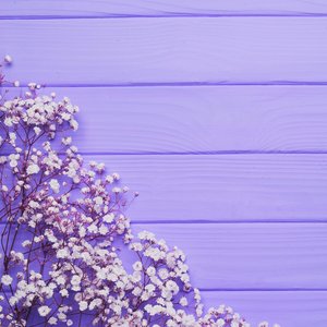 花は誰のもの!