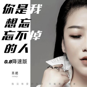 你是我想忘忘不掉的人 (0.8降速版)