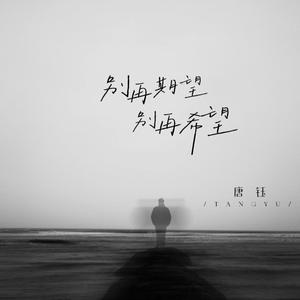 别再期望 别再希望