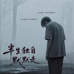 半生独自默默走