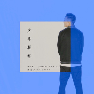 群星 - 少年模样 （西门少年remix）（王骞Boc / 李宇春 / 卡斯Kas$ remix）