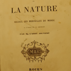 THE NEW HARLEM eat wiz Danny