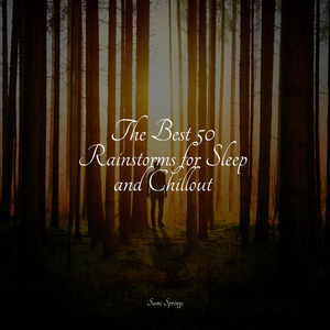 Rainy Woodland Ambience