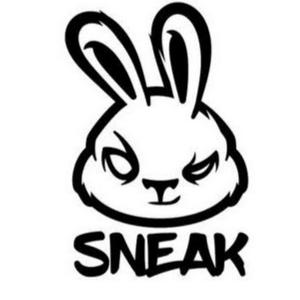 Sneak