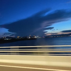 诬告动物.WAV