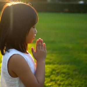 시들지 않는 꽃