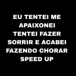 Eu Tentei Me Apaixonei Tentei Fazer Sorrir e Acabei Fazendo Chorar Speed Up