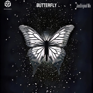 Butterfly（黑蝴蝶）Jaxx罗云飞Original Mix