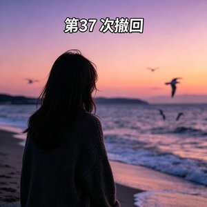 第37次撤回