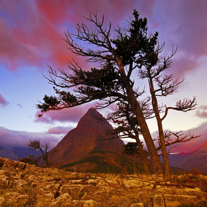 终于把儿子熬成小情人了