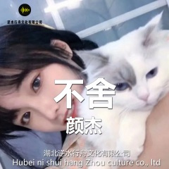 感谢你给我简单的陪伴和温暖 (DJ版)