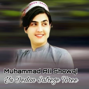 Yu Dedan Satrege Toree