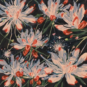 我还会偷录音的