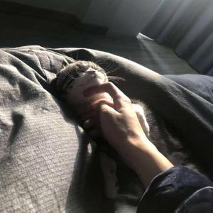 my luv （feat.盗窃男孩）