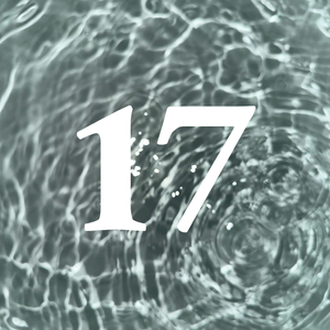 17