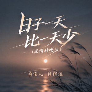 日子一天比一天少(深情对唱版)