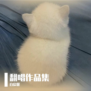 青柠