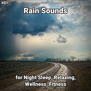 Rain Sounds for Anxiety