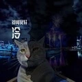 车载慢摇旋律 (DJ版)