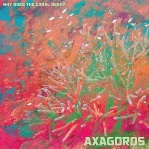 Why Does the Coral Reef?