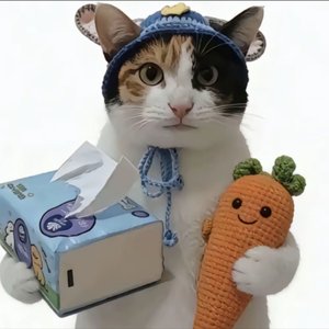 我们那么好 好到成不了情人