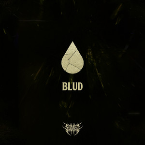 BLUD