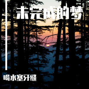 可惜没如果（钢琴曲）