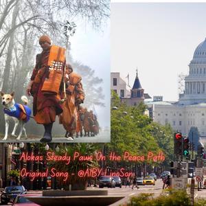 Aoloka’s Steady Paws On the Peace Path