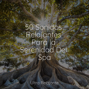 Relajado
