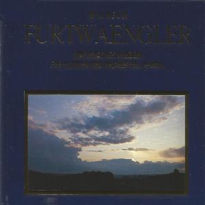 Symphonic Concerto for Piano and Orchestra in B Minor: I. Schwer