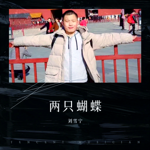 两只蝴蝶