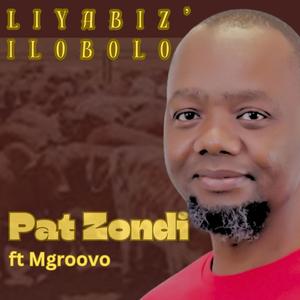 Liyabiz' ilobolo (feat. Mgroovo)