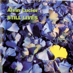 Still Lives: Sunlight Diamond