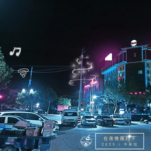 在夜晚路灯下