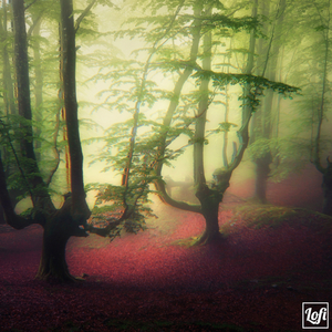 happiness is only real when shared