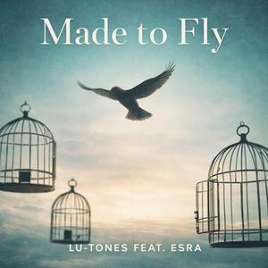 Made To Fly (feat. Esra)