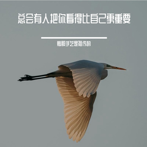 放过你也放过我吧