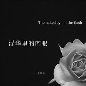 浮华里的肉眼