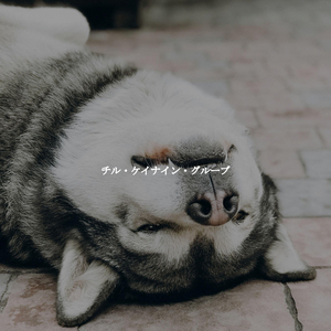 Incredible Music for Coffee Energies