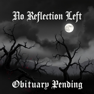 No Reflection Left