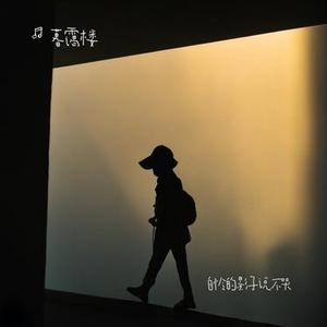 自怜的影子说不哭