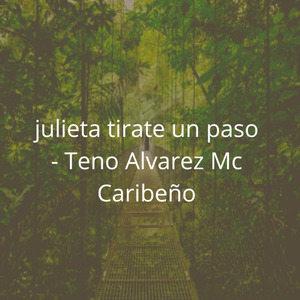 Julieta Tirate un Paso