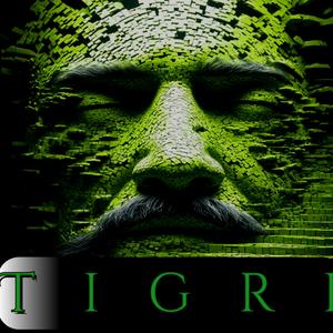 Tigri