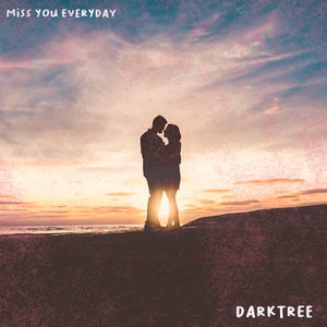 Miss You Every Day (Original Mix)