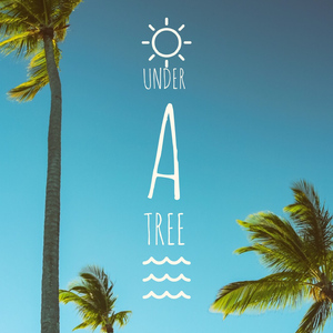 Layup Witta Finga Roll